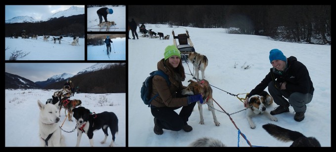 Ushuaia - Dog Sleds