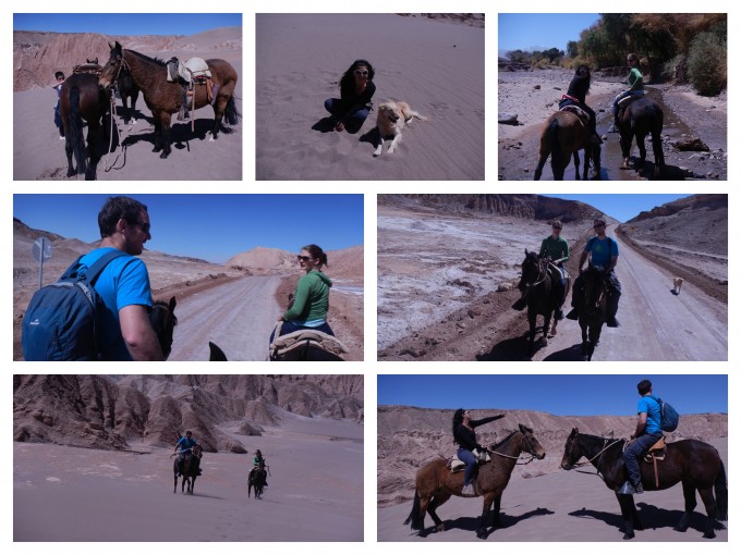 Horse riding in San Pedro de Atacama