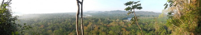 macaw lookout