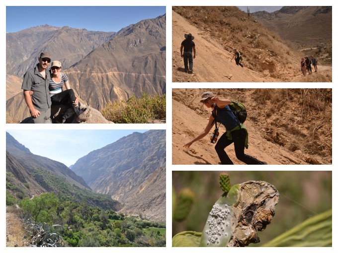 CLOCKWISE FROM TOP: Us at the top of the canyon, our cowboy guide instructing us when to cross the landslide, Flick crossing the landslide, the parasites that make the colour red, view of the canyon